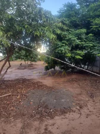 Fazenda/Sítios/Chácaras em Bebedouro - Distrito Industrial IV