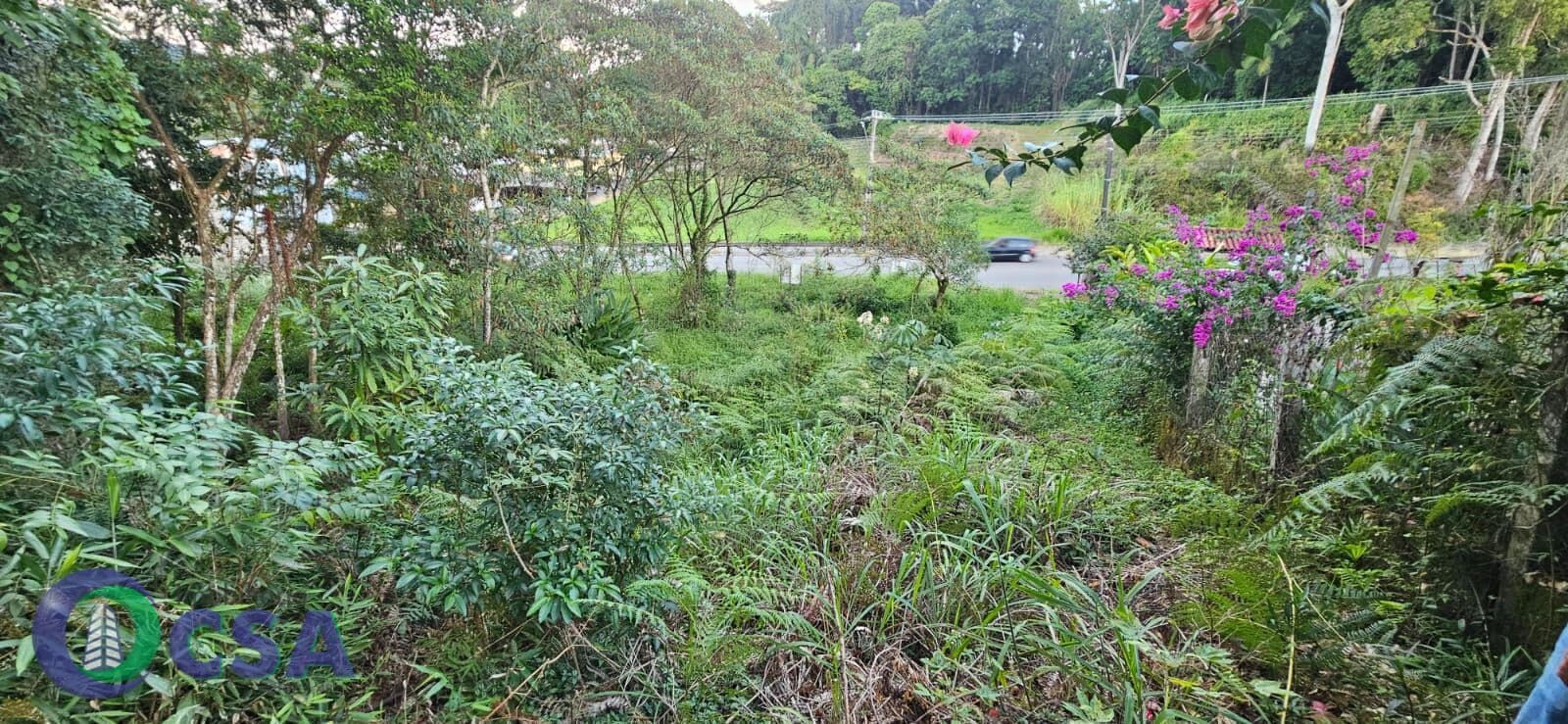Terreno Lote nr. 04