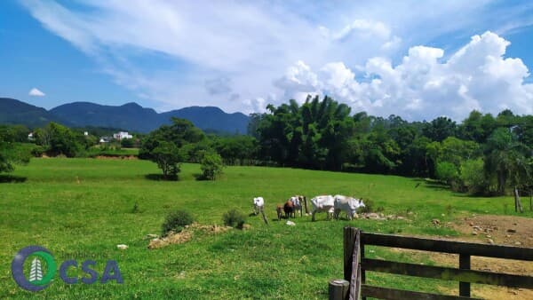 Lote/Terreno em Timbó - Das Nações