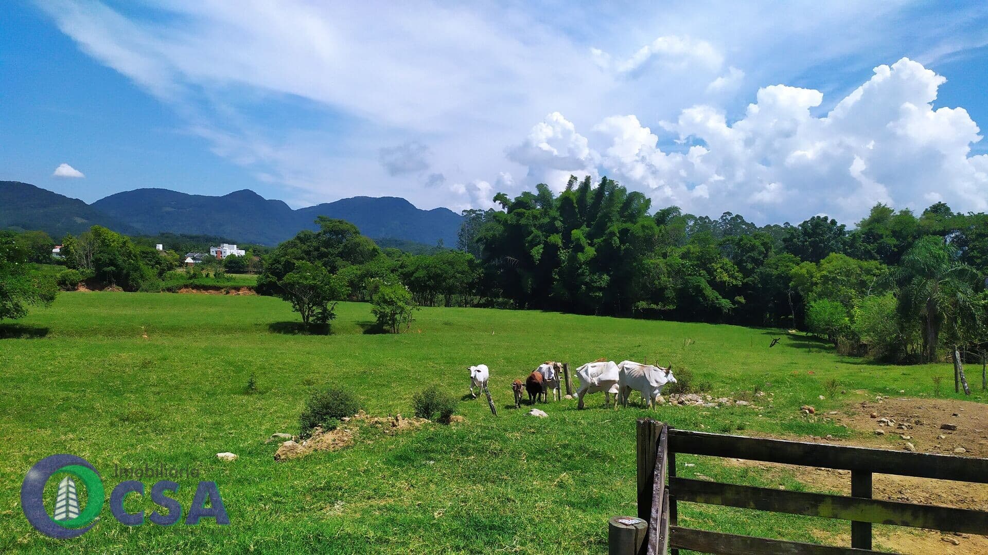 Lote/Terreno em Timbó - Das Nações