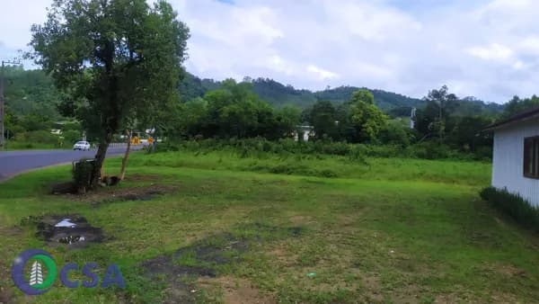 Lote/Terreno em Benedito Novo - Alto Benedito