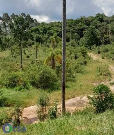 Fazenda/Sítios/Chácaras em Rio dos Cedros - Cedro Alto