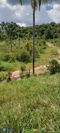 Fazenda/Sítios/Chácaras em Rio dos Cedros - Cedro Alto