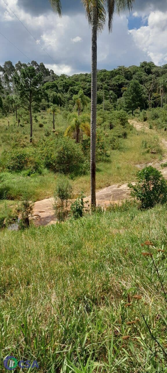 Fazenda/Sítios/Chácaras em Rio dos Cedros - Cedro Alto