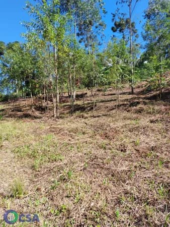 Fazenda/Sítios/Chácaras em Rodeio - Rodeio 32