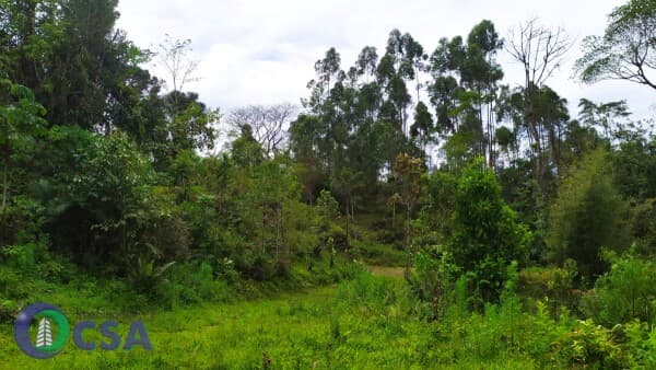 Fazenda/Sítios/Chácaras em Rodeio - Rodeio 32