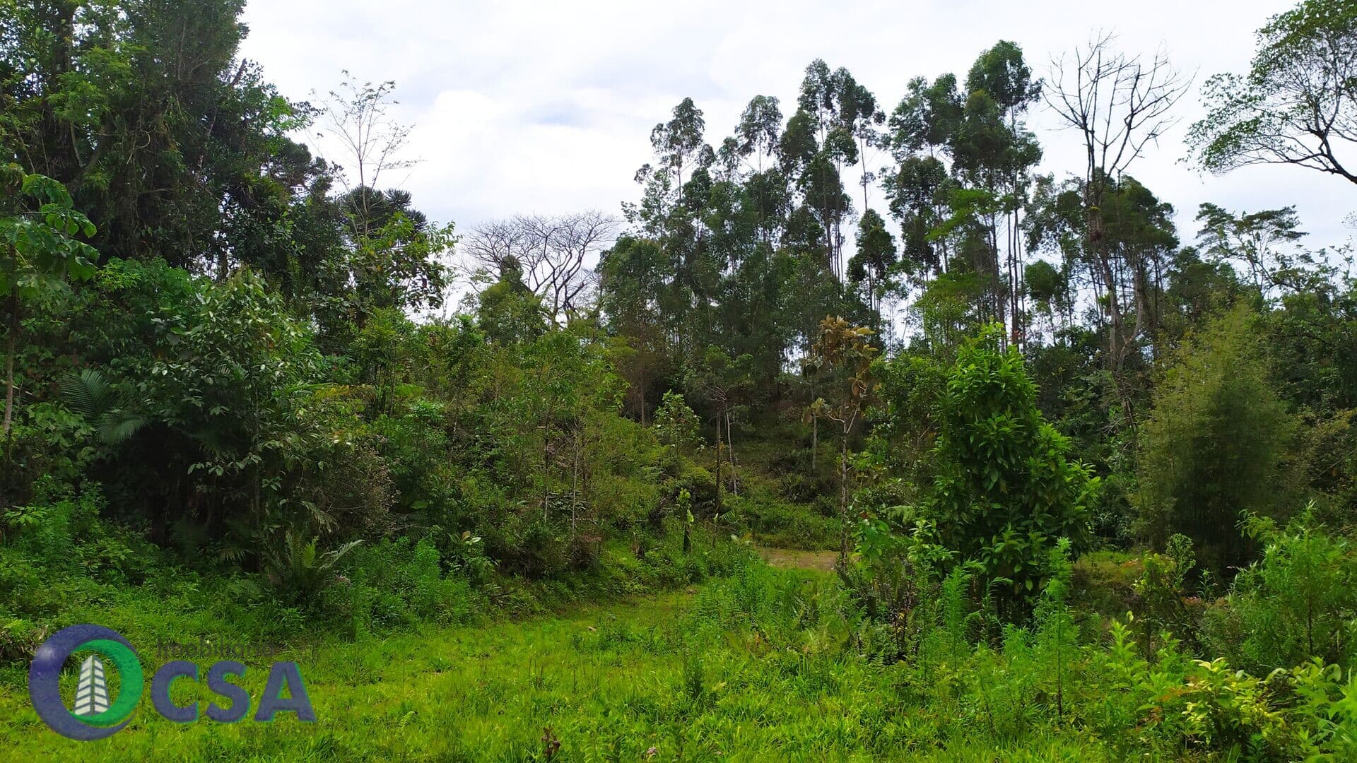 Fazenda/Sítios/Chácaras em Rodeio - Rodeio 32