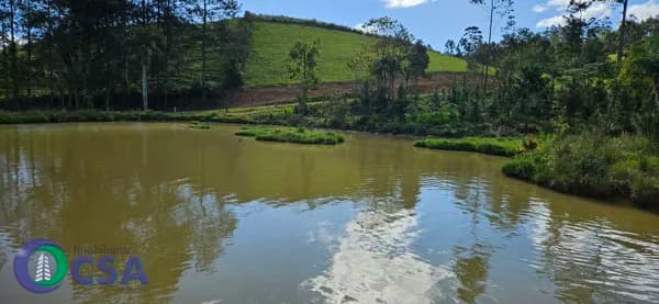Fazenda/Sítios/Chácaras em Benedito Novo - Santa Maria