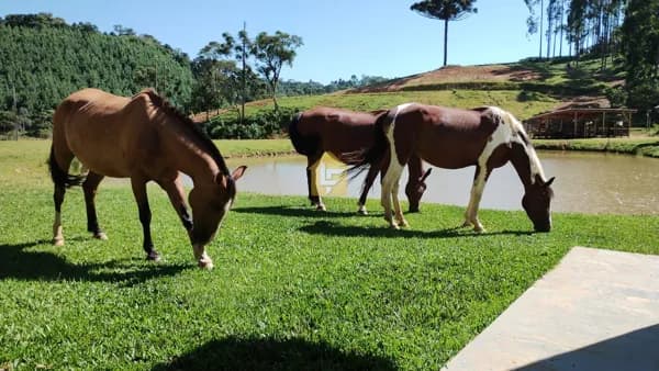 Chácara em Campo Alegre - SC
