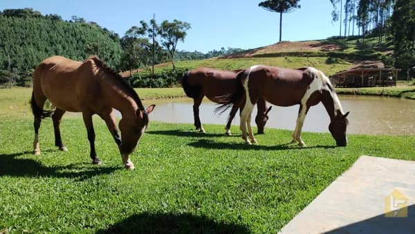Chácara em Campo Alegre - SC