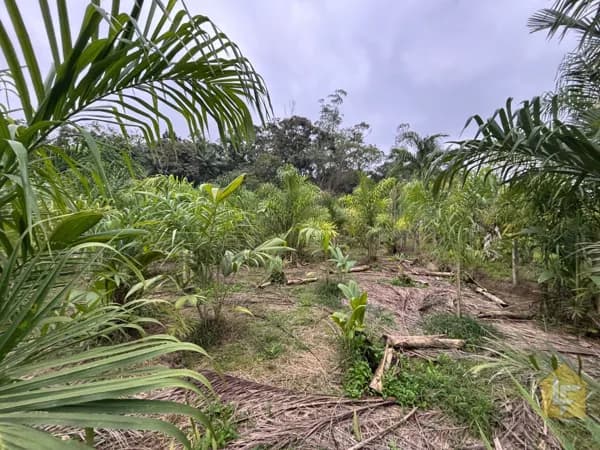 TERRENO RURAL NO RIO BONITO - PIRABEIRABA