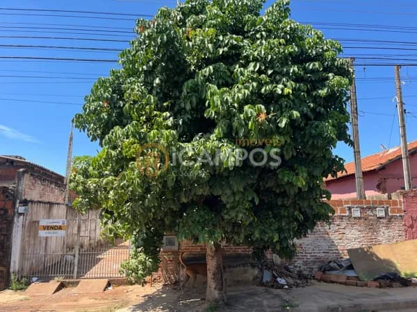 Casa em Bebedouro - Jardim Alvorada