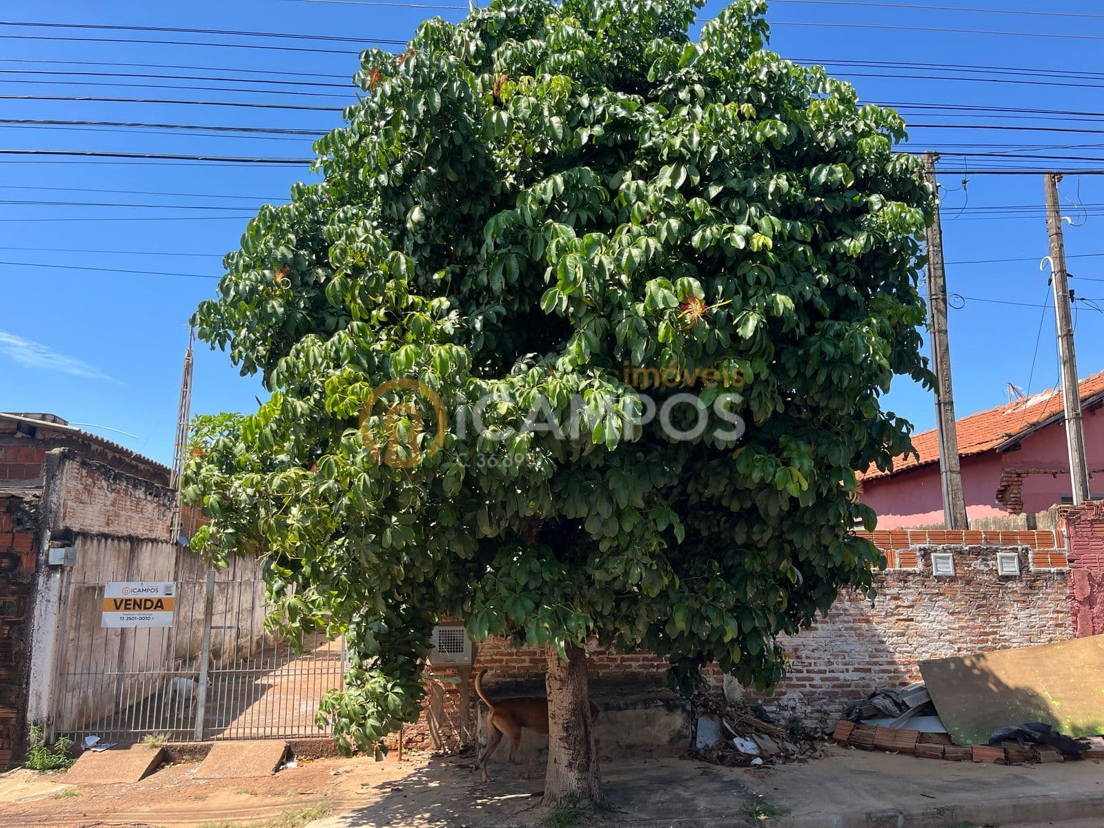 Casa em Bebedouro - Jardim Alvorada