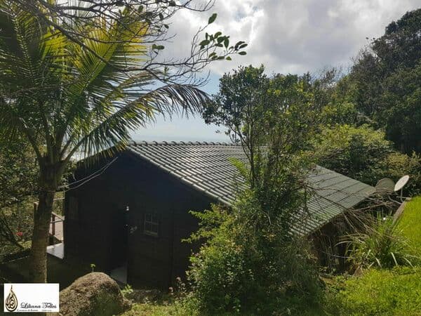 Casa em Florianópolis - Praia Mole