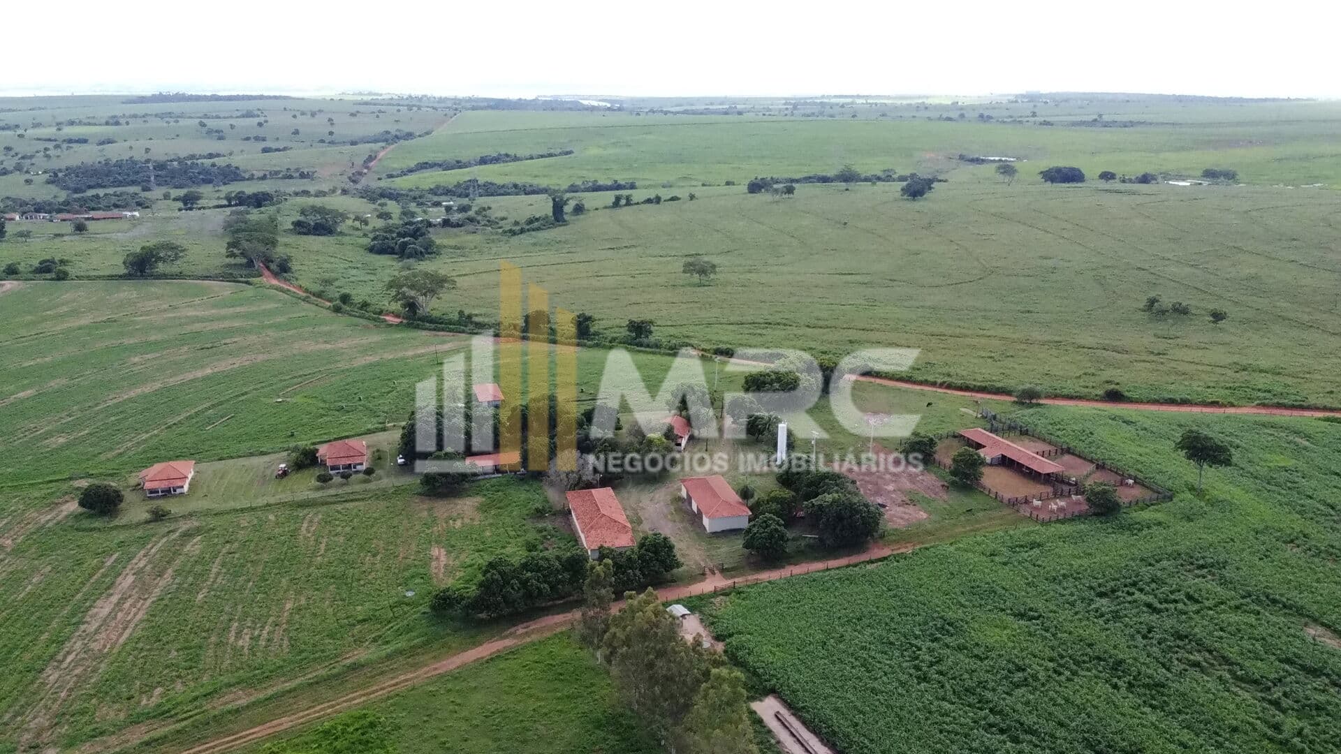 Fazenda Na Pecuária - Araçatuba