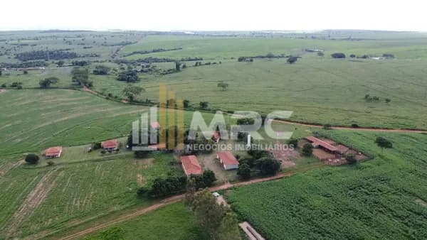 Fazenda Na Pecuária - Araçatuba