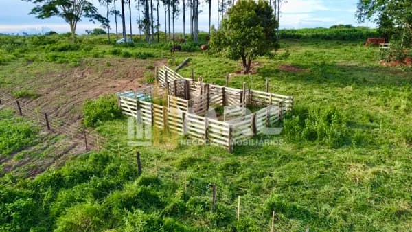 Sítio 2,50 Alq. Pecuaria
