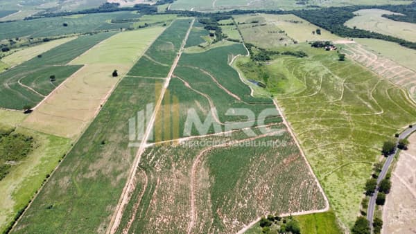 Sítio 35 Alqueires à Venda em Rubiácea SP