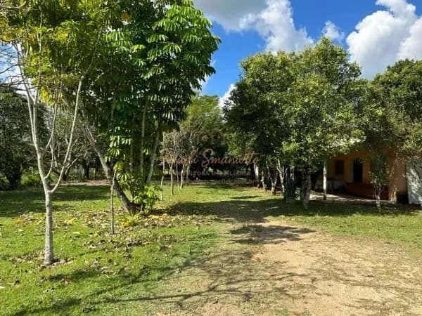 Fazenda/Sítios/Chácaras em Campinas - Sousas