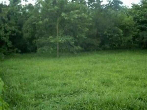 Terreno-em-Condominio-para-Venda-em-Loteamento-Alphaville-Campinas-Campinas-SP
