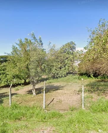 Lote/Terreno em Novo Hamburgo - Rincão