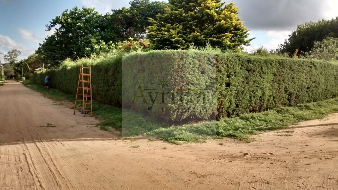Lote/Terreno em Viamão - Águas Claras