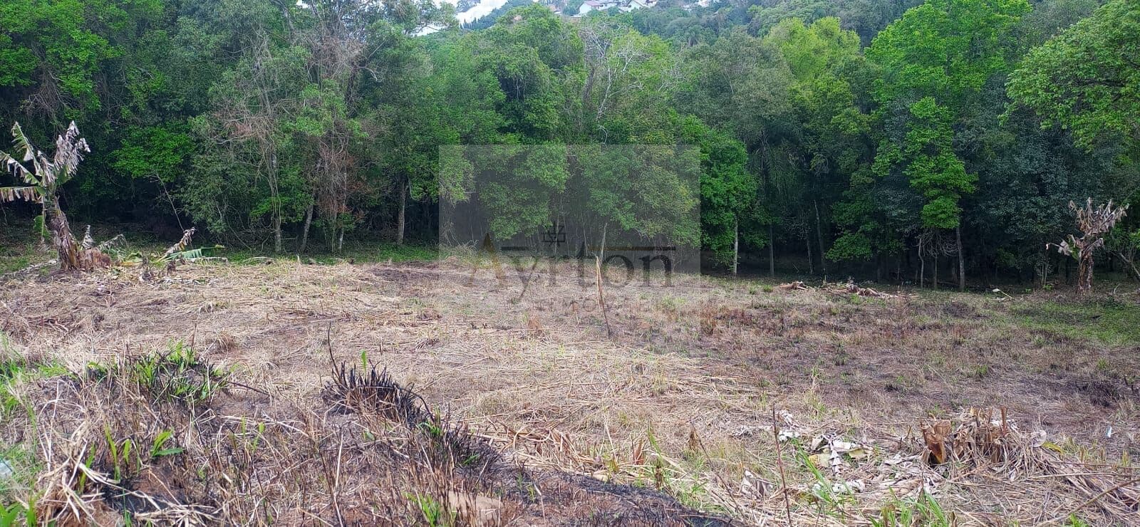 Lote/Terreno em Ivoti - Harmonia