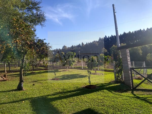 Fazenda/Sítios/Chácaras em São Sebastião do Caí - Areião