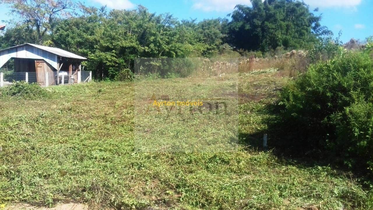 Lote/Terreno em São José do Hortêncio - Centro