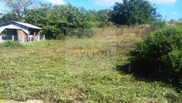 Lote/Terreno em São José do Hortêncio - Centro