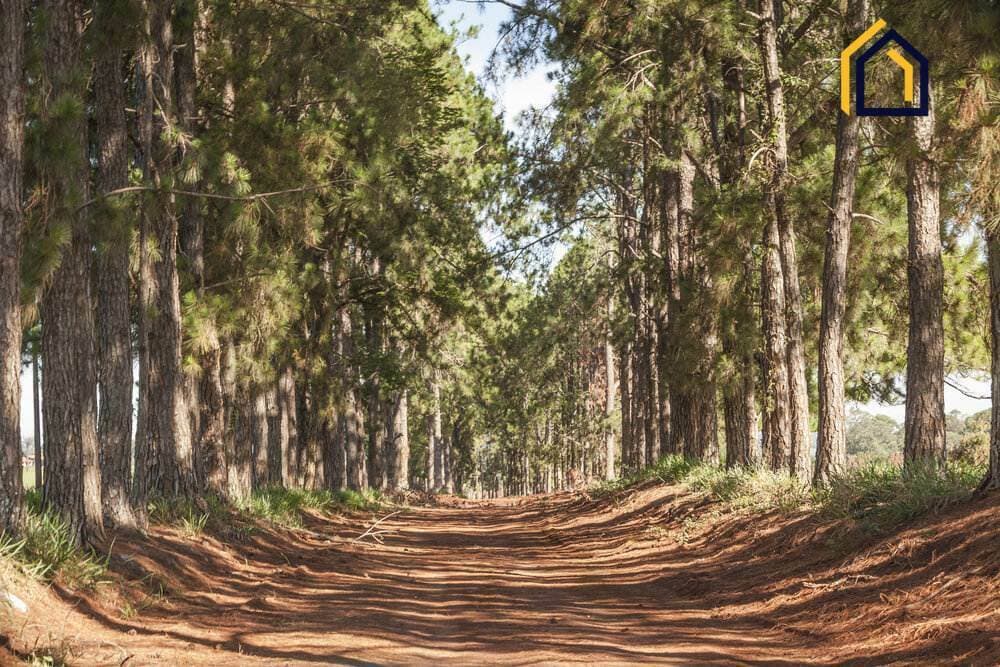 Terreno-em-Condominio-para-Venda-em-Haras-Patente-Jaguariuna-SP