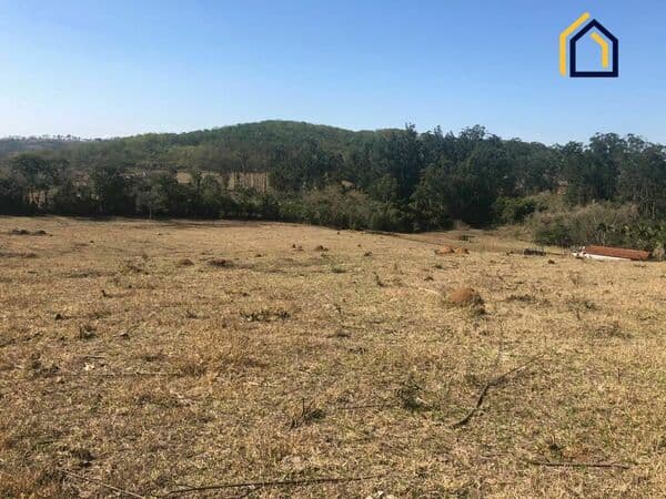 Área 20.000 m²