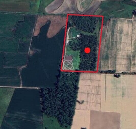 2 Hectares na Volta Curta
