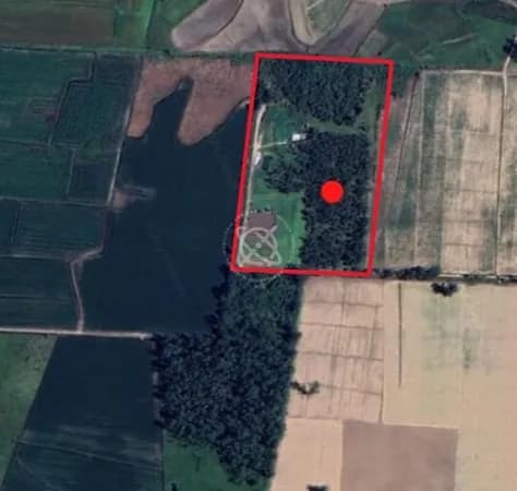 2 Hectares na Volta Curta