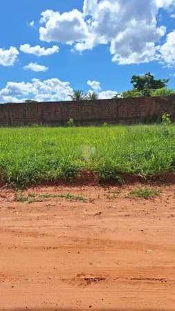 Terreno plaino com 195,50 m² na Quinta da Bela Olinda - Aceita Financiamento Caixa