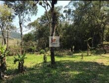 Fazenda/Sítios/Chácaras em Tapiraí - Centro