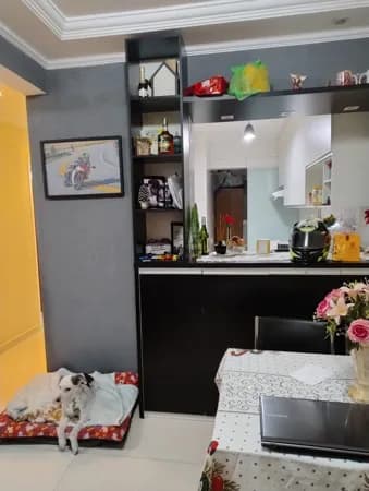 Apartamento em São Paulo - Vila Constancia
