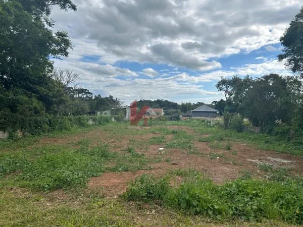 Lote em Balsa Nova