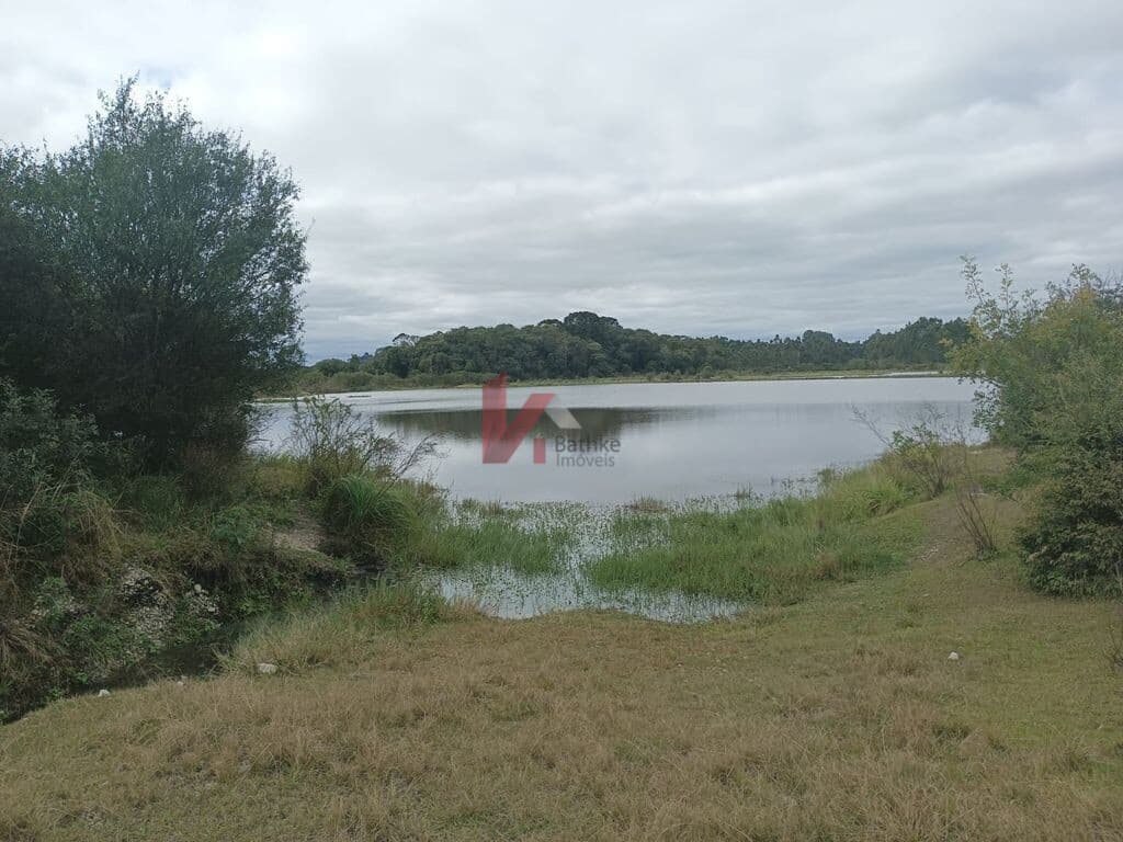 Lote/Terreno em Balsa Nova - Campina do Bicudo