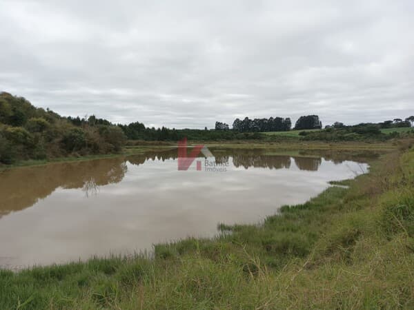 Lote/Terreno em Balsa Nova - Campina do Bicudo