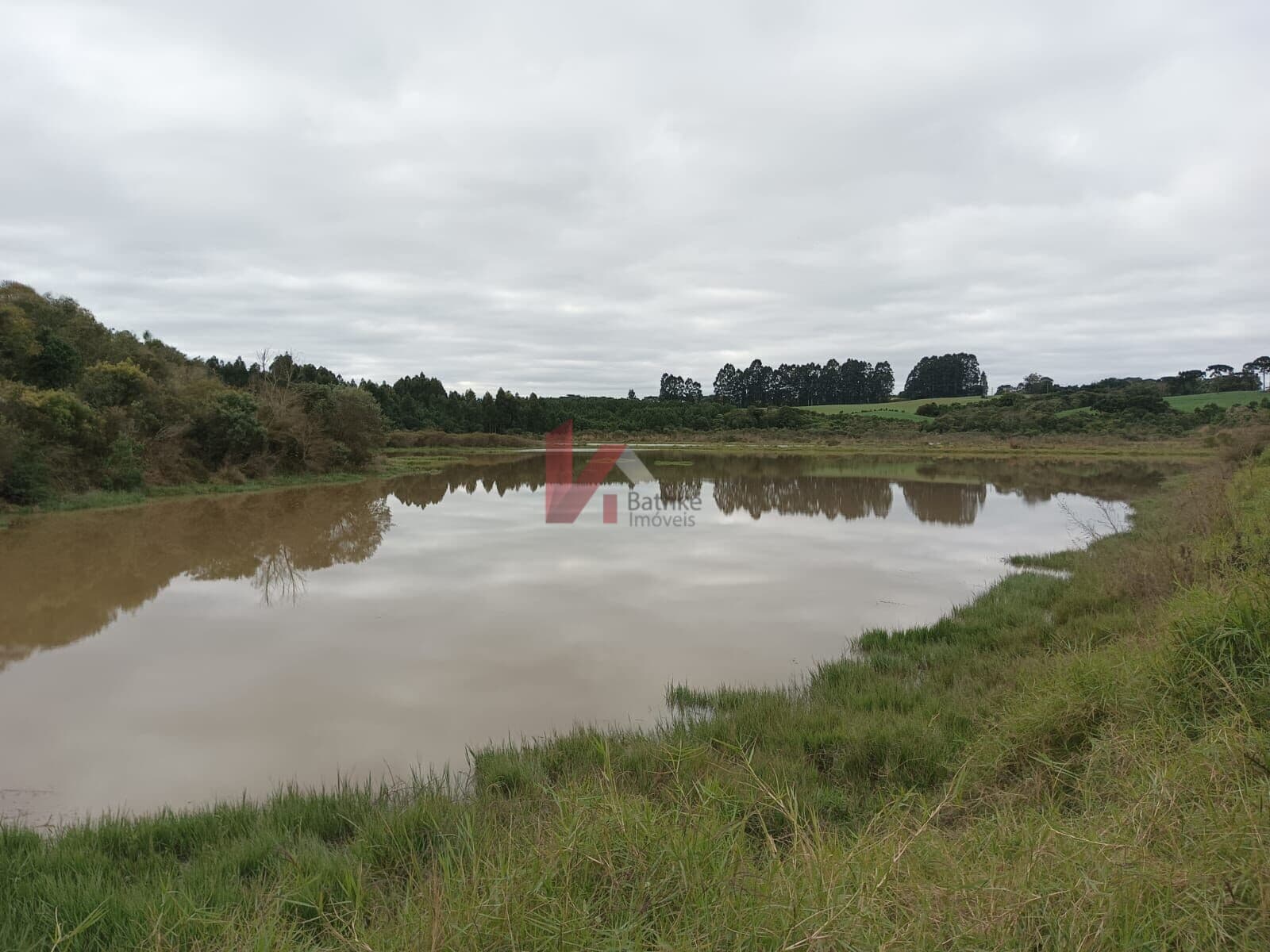 Lote/Terreno em Balsa Nova - Campina do Bicudo