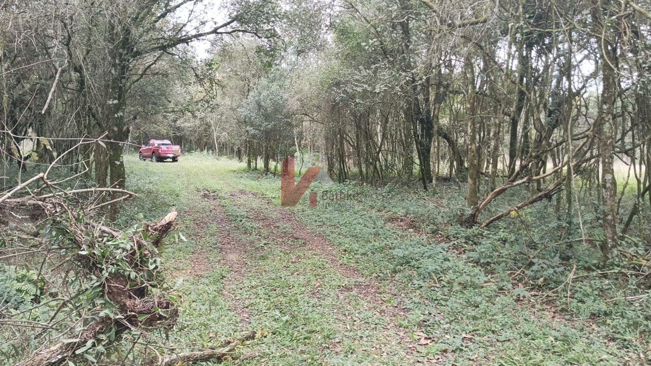Terreno em Balsa Nova