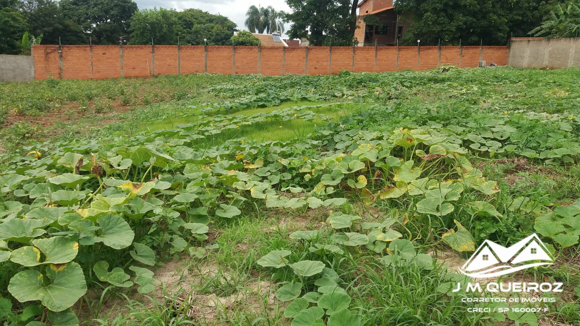 Lote/Terreno em Mogi Mirim - Centro