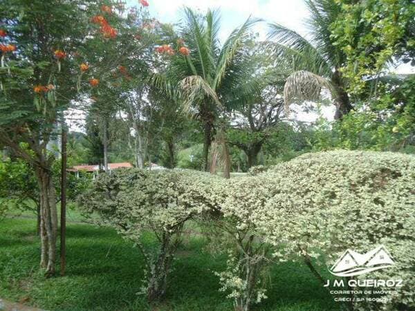 Chacara-para-Venda-em-Paraiso-da-Cachoeira-Mogi-Mirim-SP