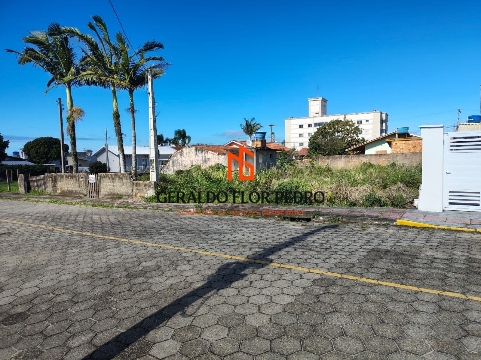 LOTE Nº 7