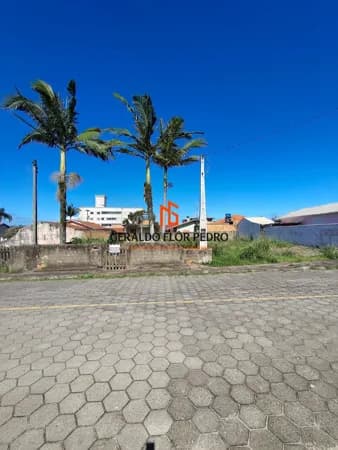 LOTE Nº 6