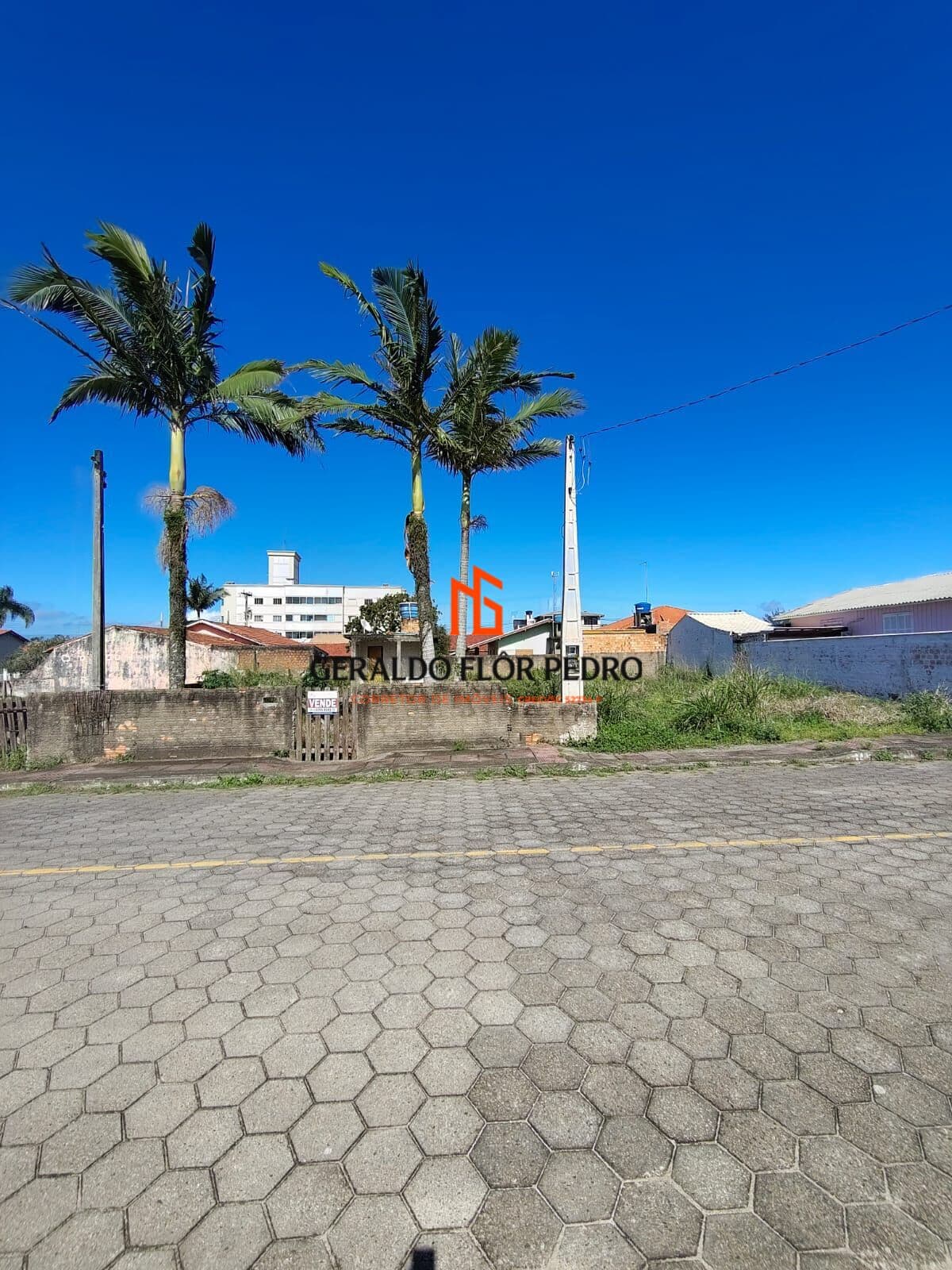 LOTE Nº 6