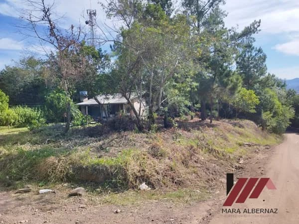 Lote/Terreno em Parobé - Emancipação