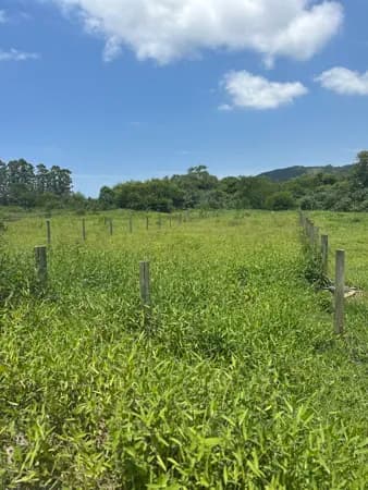 Terreno de 800m2, rua asfaltada à venda no bairro Encantada, Garopaba/SC