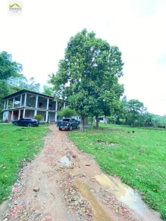 Lindo sitio com 6mil m² , piscina e lindo lago